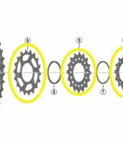 Shimano - Pignon Pour Cassettes XT CS-M8100 Et SLX CS-M7100 - 14/16/18 Dents